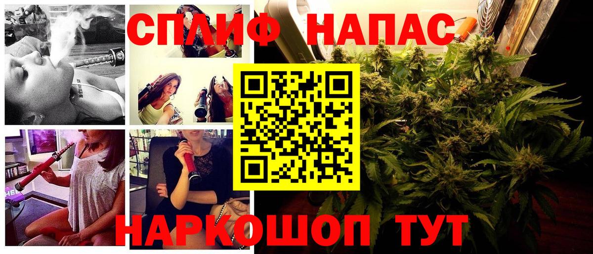 Шишки марихуана планчик Димитровград